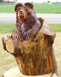 Bear in Log
