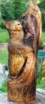 Bear in Tree 1' Bear in Tree 1