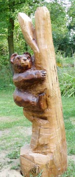 Bear up Tree