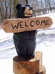 Welcome Black Bear Welcome Black Bear