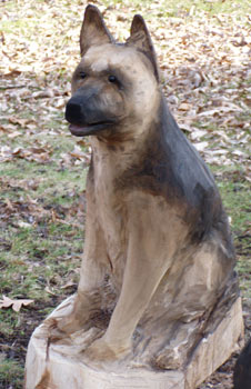 German Shepard