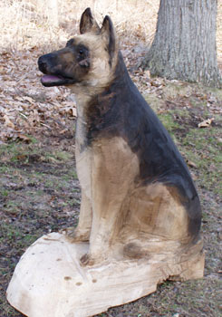 German Shepard