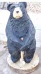 Black Bear Golfing