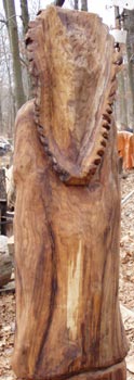 American Indian Back View