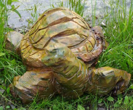 Tortoise