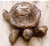 Turtle Turtle